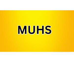 Your paragraph text (2)